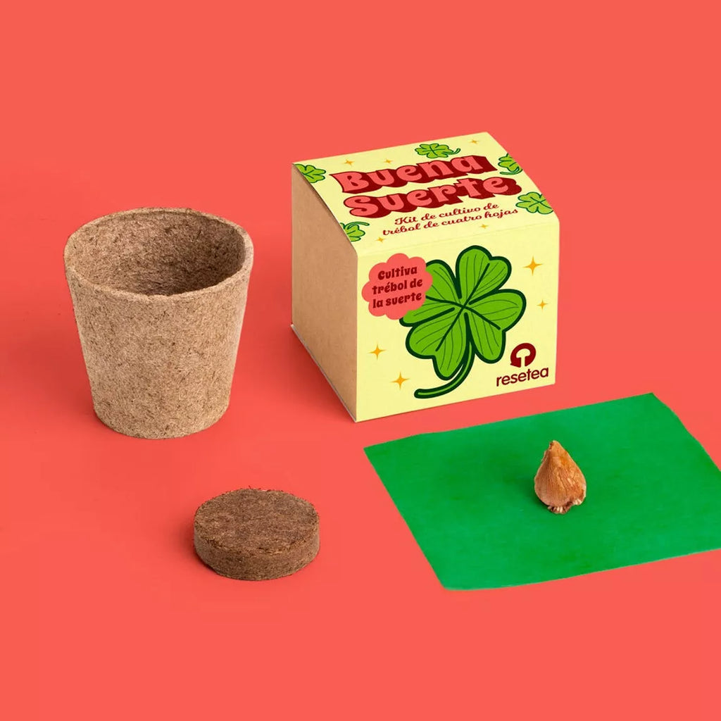 Četrlapu āboliņš – audzē mājās un piesaisti veiksmi 🍀