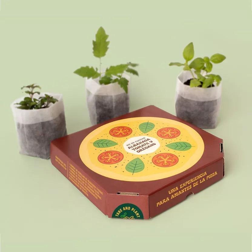 Pizza Lovers komplekts – audzē pats baziliku, tomātus un oregano 🍅🌿